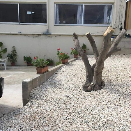 Ellenapa Apts & Studios أيا نابا المظهر الخارجي الصورة
